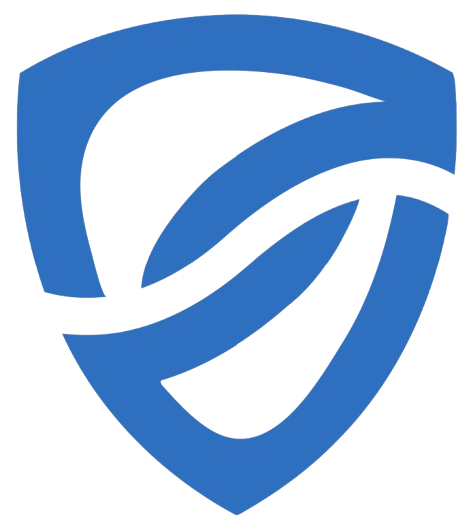 VDS Logo